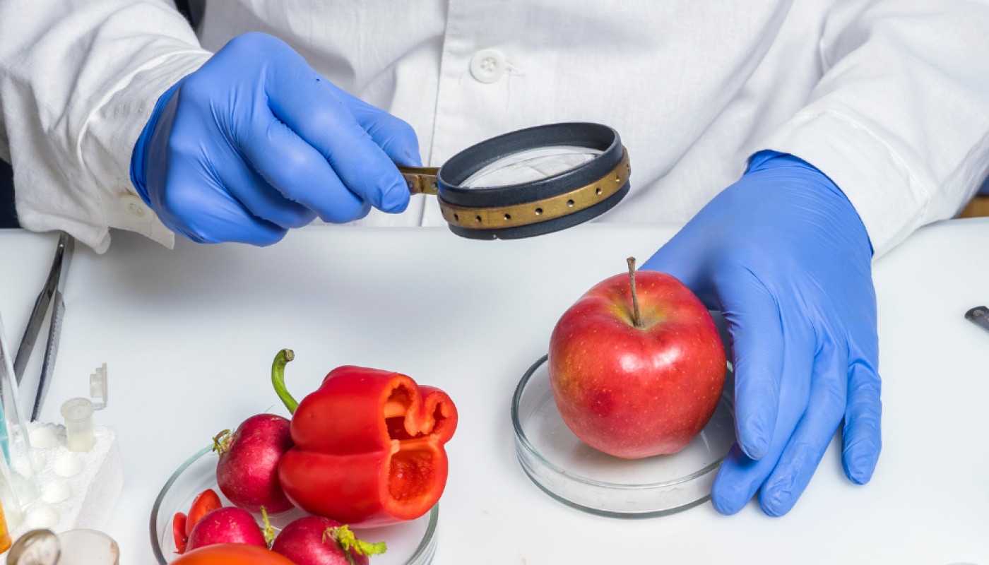 L’audit en hygiène alimentaire, une prestation essentielle proposée par SSA Pro